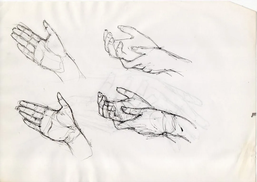 le zoli dessin que j'ai bilouté le 1<sup>er</sup> décembre 2016