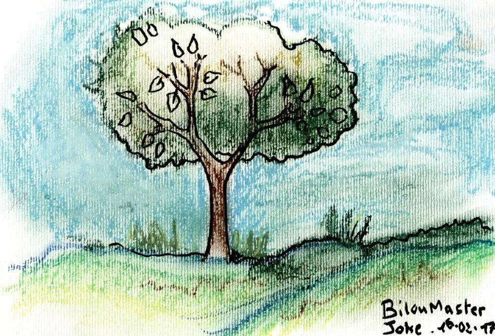 le zoli dessin que j'ai bilouté le 16 février 2017