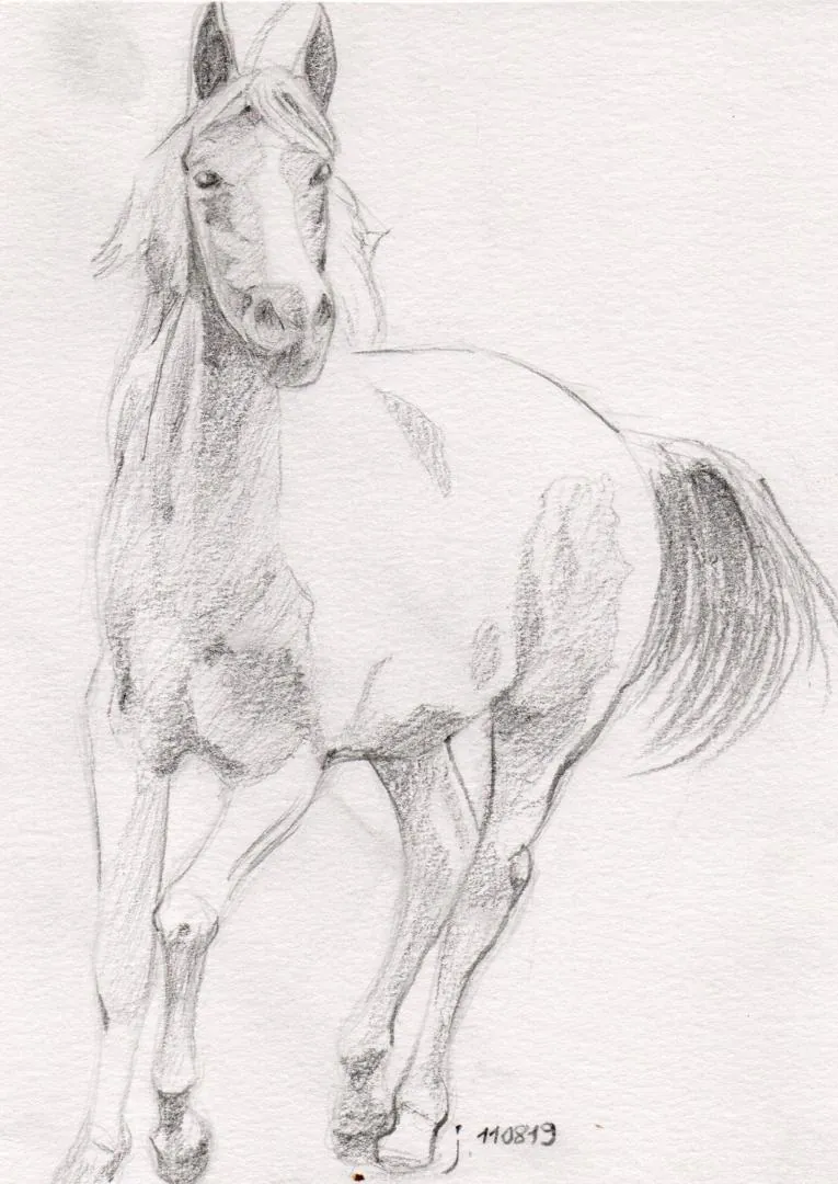 le zoli dessin « Cheval » que j'ai bilouté le 11 août 2019
