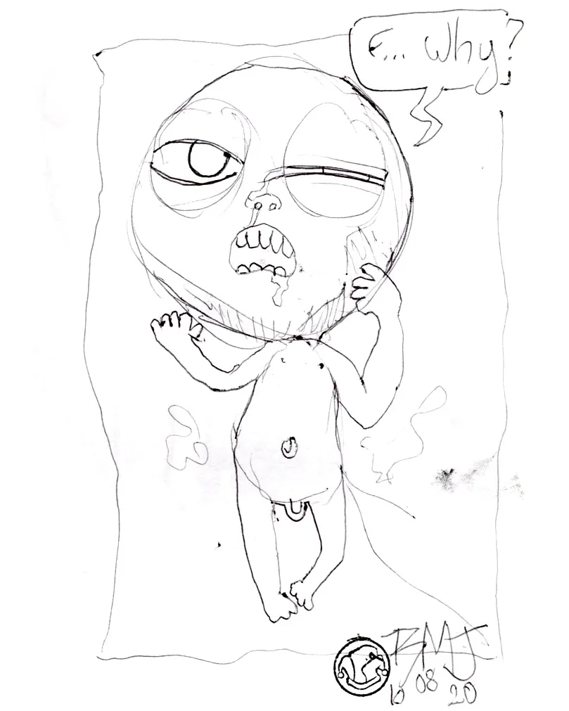 le zoli dessin « F... Why? » que j'ai bilouté le 10 août 2020